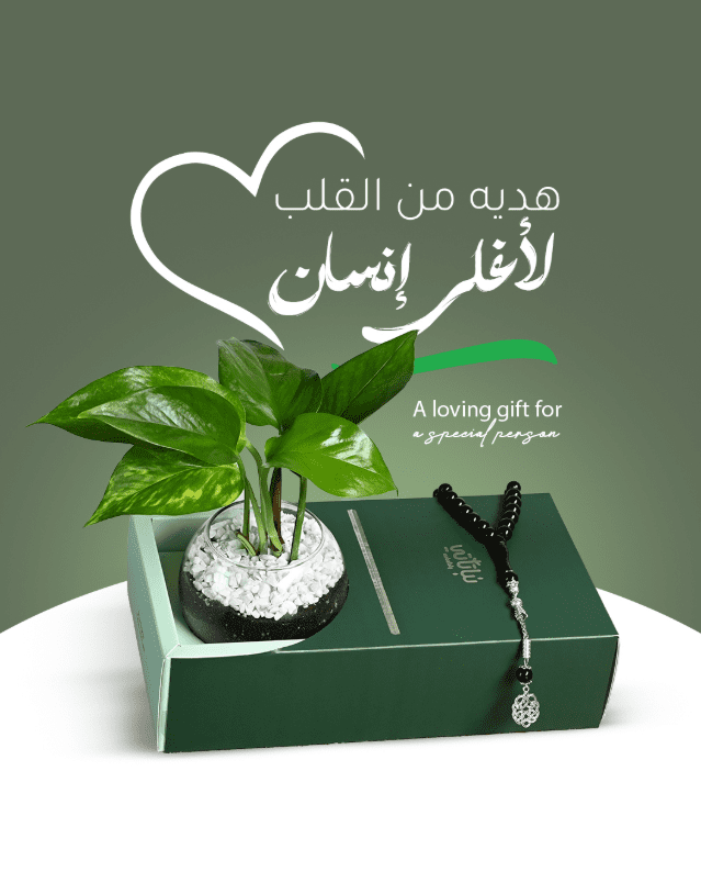 احصل على خصم 10% مع كود خصم نباتاتي خلال عروض البلاك فرايدي