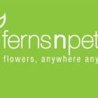 فيرنز اند بيتل